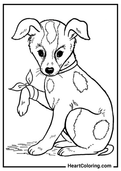 Perro con la pata vendada - Dibujos para colorear de perros y cachorros