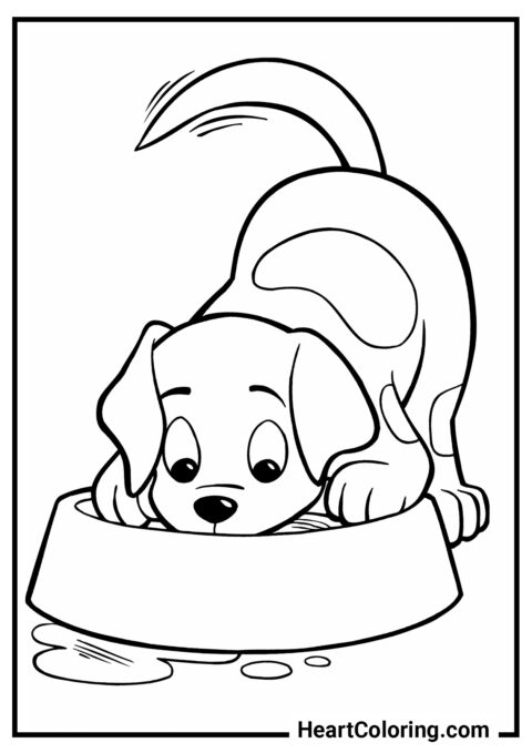 Cachorro junto al tazón - Dibujos para colorear de perros y cachorros