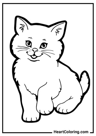 Fluffy kitten - Cat and Kitten Coloring Pages