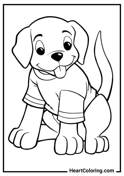 Cachorro com camiseta - Desenhos para colorir de cães e filhotes