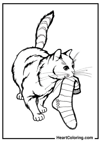 Cat with a sock - Cat and Kitten Coloring Pages