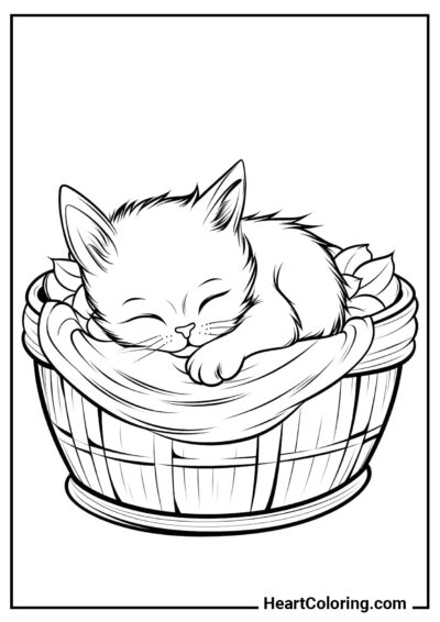 Bébé endormi - Coloriages de Chats et Chatons