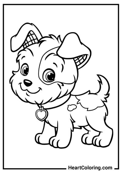 Cachorro peludo - Dibujos para colorear de perros y cachorros
