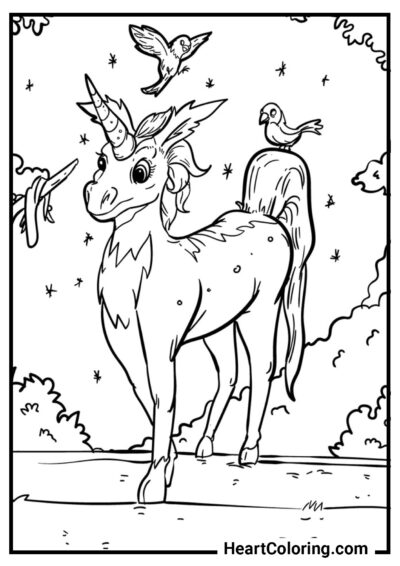 Strange Forest Unicorn with Birds - Unicorn Coloring Pages