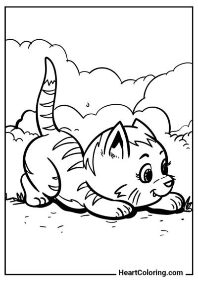 Desenho para imprimir: Gatinho divertido no passeio — coleção "Desenhos de Gatos e Gatinhos para Colorir"