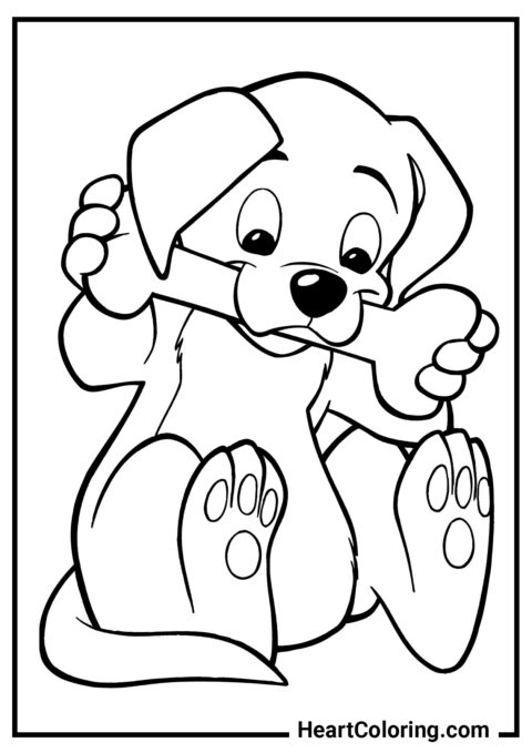 Funny puppy with a bone - Dogs and Puppies Coloring Pages