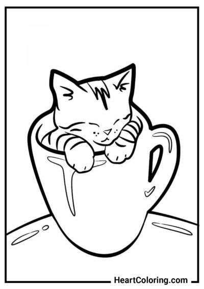 Котёнок в чашке - Раскраски Кошек и Котят