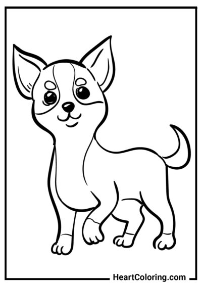 Chihuahua adorável - Desenhos para colorir de cães e filhotes