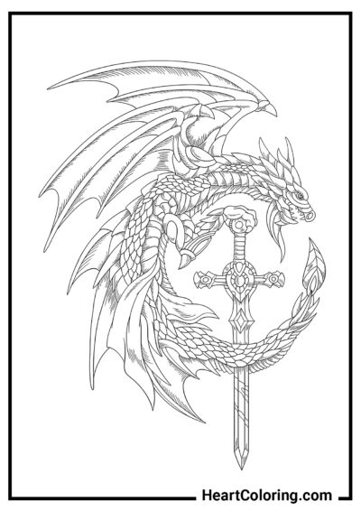 Brasão de dragão - Desenhos de Dragões para colorir
