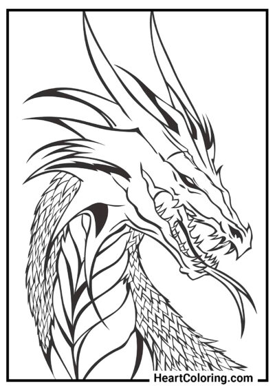 Cabeza de Dragón - Dibujos de dragones para colorear