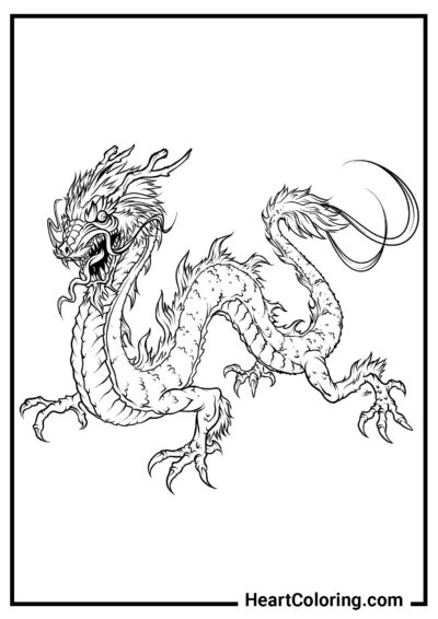 Китайский дракон - Раскраски Драконов
