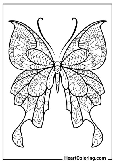Splendida farfalla anti-stress - Disegni di Farfalle da Colorare