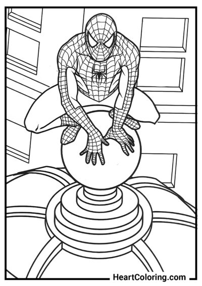 No topo de um prédio alto - Desenhos do Homem Aranha para Colorir