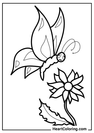 Hunting for nectar - Butterfly Coloring Pages