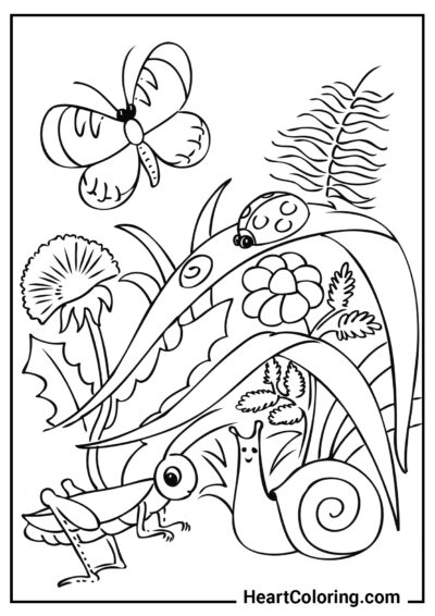 Insects - Butterfly Coloring Pages