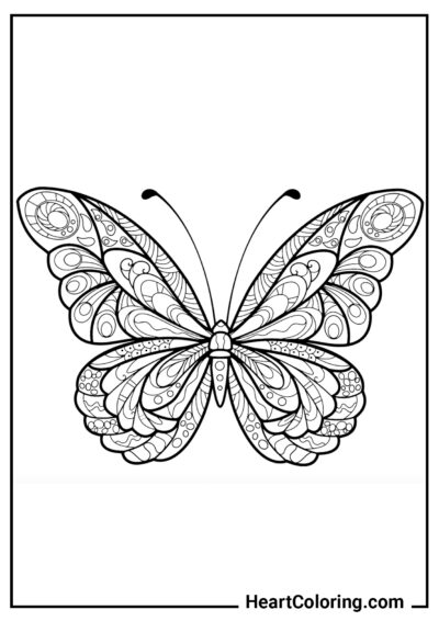Beautiful wings - Butterfly Coloring Pages