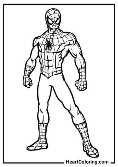 Любимый супергерой - Раскраски Человек Паук