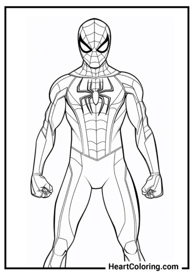 Spider-Man con i pugni chiusi - Disegni di Spiderman da Colorare