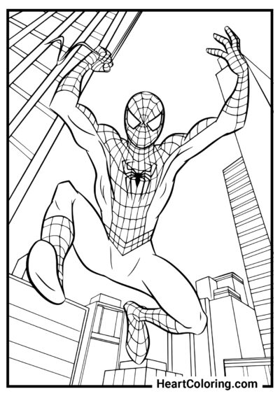 Spider-Man sobre la ciudad - Dibujos de Spiderman para Colorear