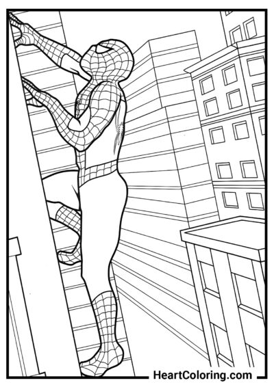 Chemin vers le toit - Coloriages SpiderMan