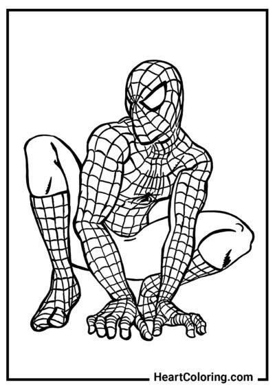 La pose préférée de Spider-Man - Coloriages SpiderMan