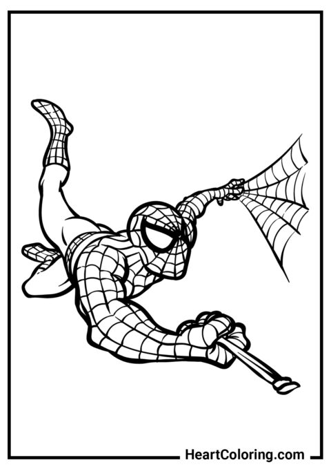 Voando em uma teia de aranha - Desenhos do Homem Aranha para Colorir