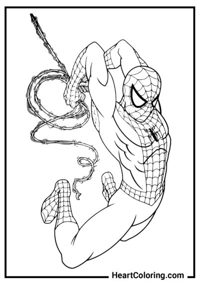 Ataque de araña - Dibujos de Spiderman para Colorear