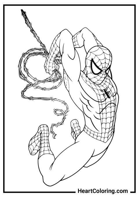 Attaque d’araignée - Coloriages SpiderMan