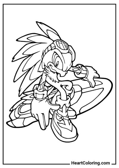 Jet the Hawk - Sonic Ausmalbilder