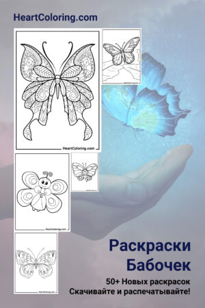 Раскраски бабочек распечатать на А4 бесплатно