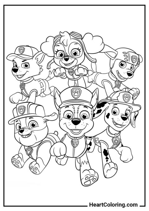 Equipe de filhotes corajosos - Desenhos do Patrulha Canina para Colorir