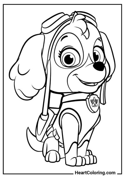 Skye - Desenhos do Patrulha Canina para Colorir