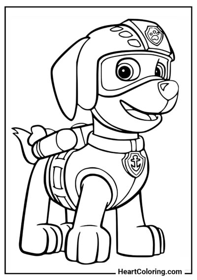 Zuma - PAW Patrol Coloring Pages