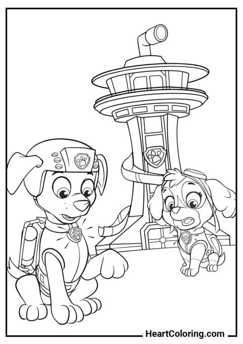 Rally signal for Skye and Zuma - PAW Patrol Coloring Pages