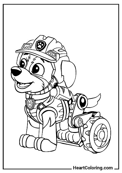 Family coloring time: Surprised Rex