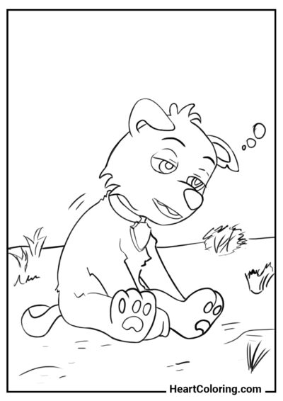 Tired Rocky - PAW Patrol Coloring Pages