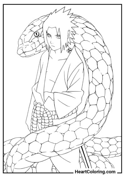 Sasuke Uchiha y Aoda - Dibujos de Naruto para Colorear