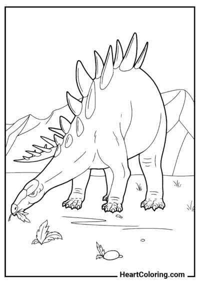 Stegosaurus - Ausmalbilder Dinosaurier