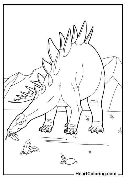 Stegosaurus - Ausmalbilder Dinosaurier