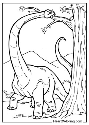 Desenho Diplodoco — formato ideal para impressão