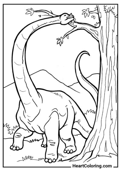 Diplodocus - Disegni di Dinosauri da Colorare