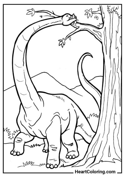 Diplodocus - Coloriages de Dinosaures