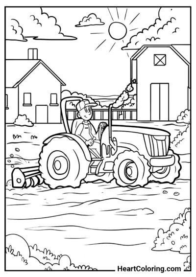 Harvest - Tractor Coloring Pages