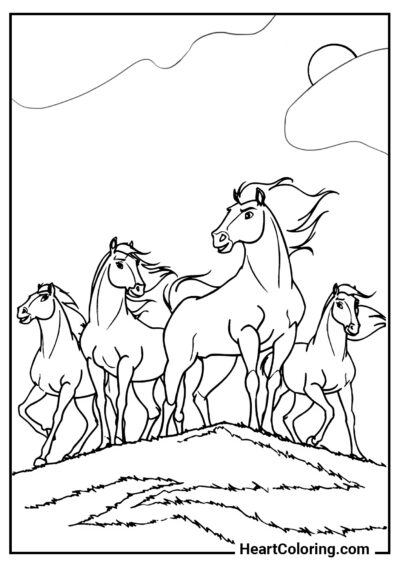 Manada de caballos en la colina - Dibujos de Caballos para colorear