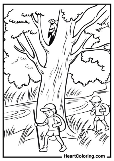 Hiking trip - Summer Coloring Pages