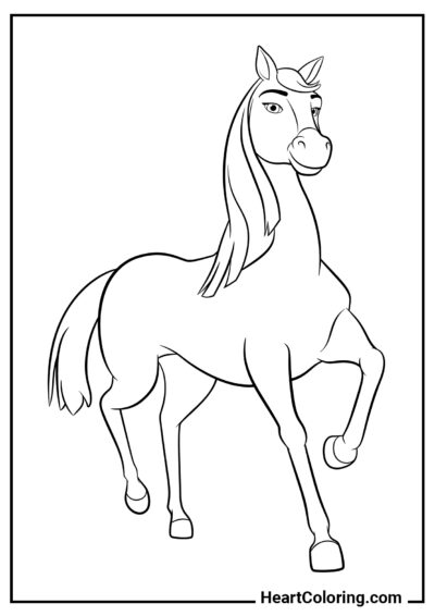 Cavalo estiloso - Desenhos de Cavalos para Colorir