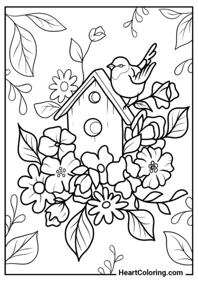 Nichoir à oiseaux - Coloriages de Printemps