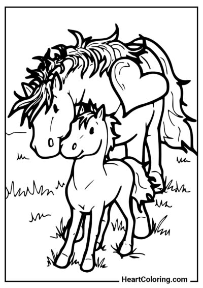 Madre caballo con potro - Dibujos de Caballos para colorear