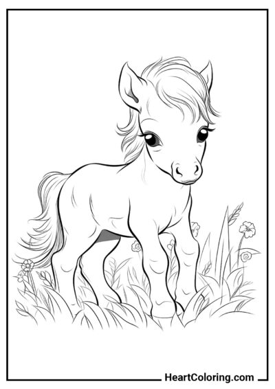 Poney sur la Pelouse - Coloriages de Chevaux