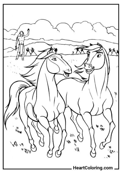 Paire de Chevaux - Coloriages de Chevaux